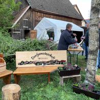 IMG_6237n
