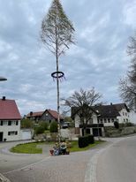 IMG_2558-h